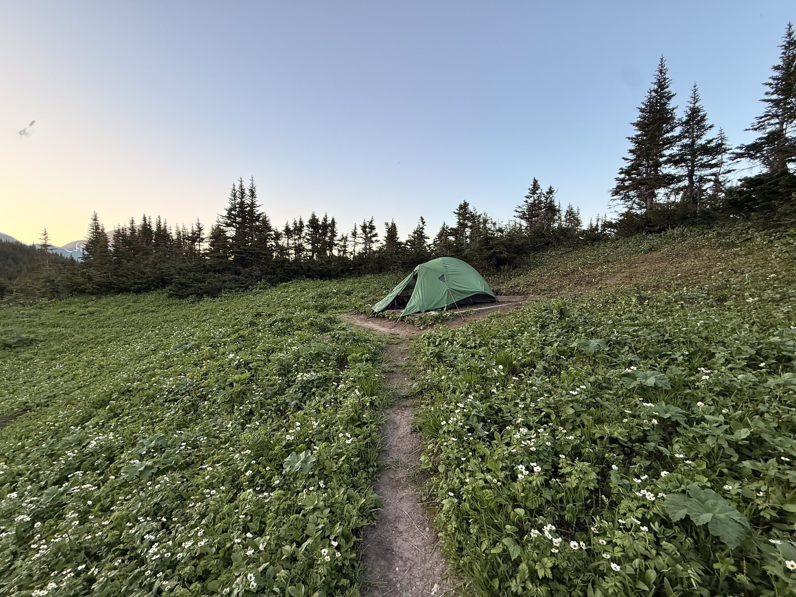 The tent pitched in the backcountry at sunset